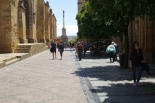 730 cordoba